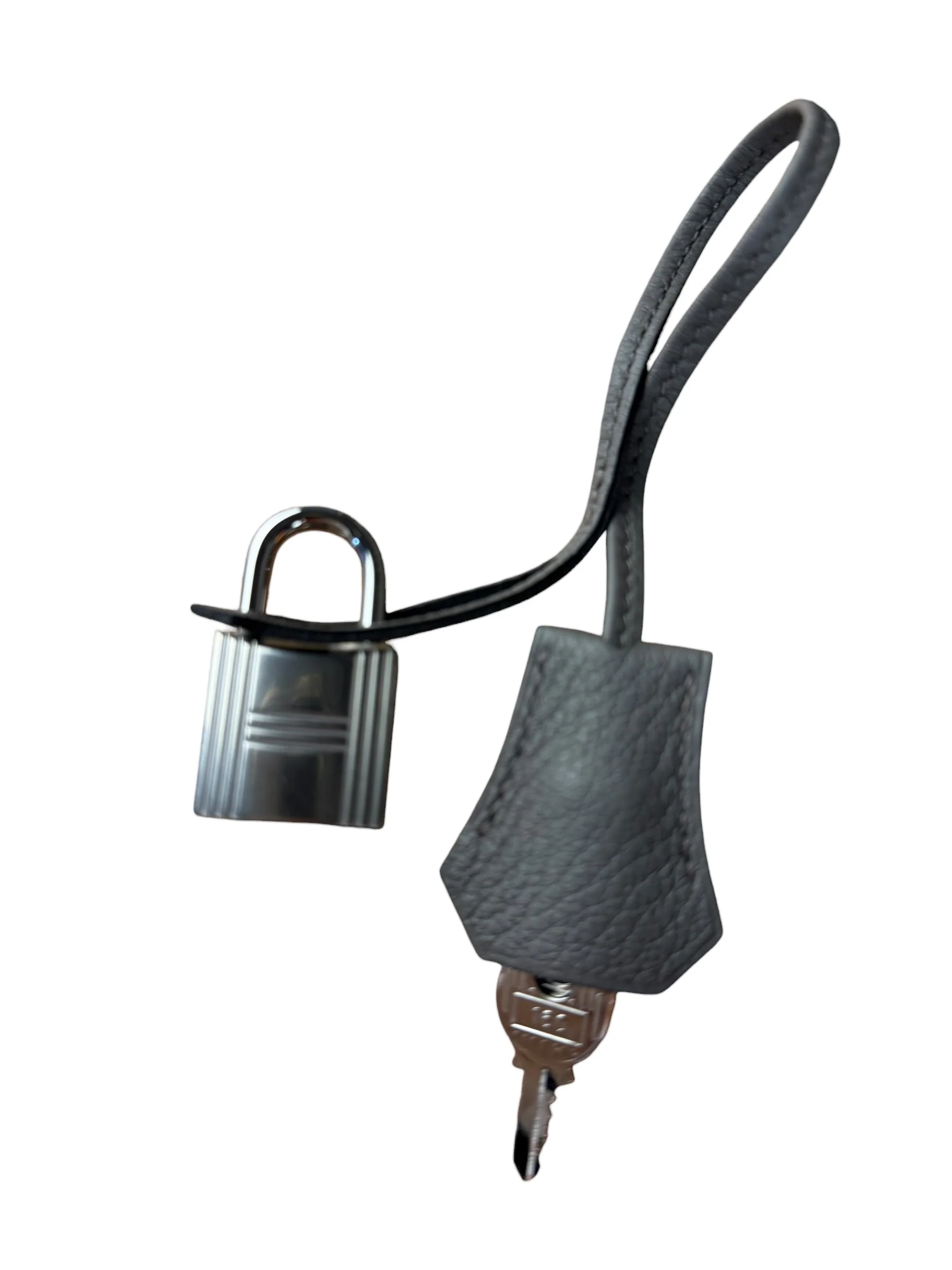 Hermes HAC A DOS PM Birkin Backpack Sling 2025 - Image 38