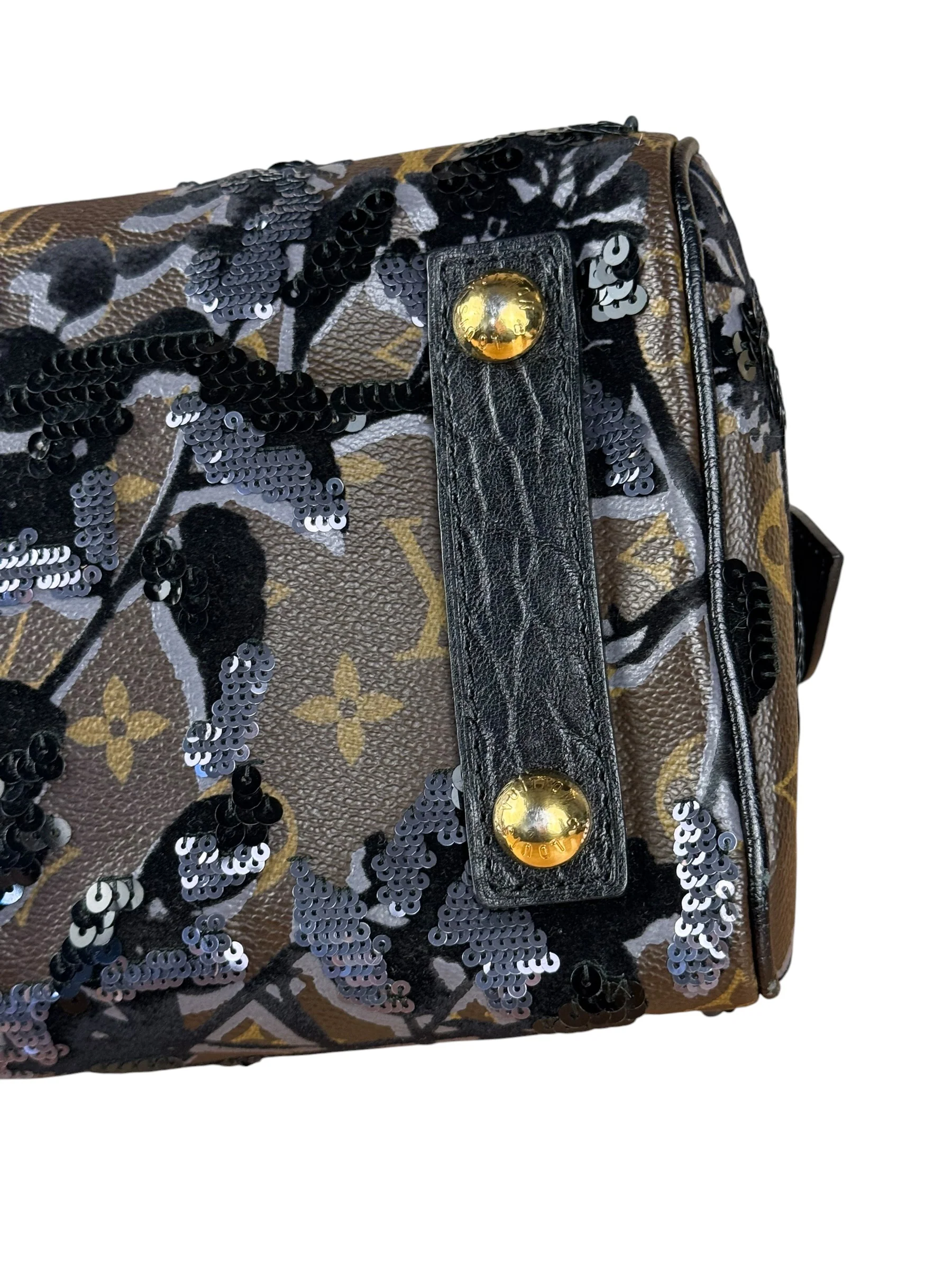 Louis Vuitton Fleur De Jais Carrousel Handbag - Image 13